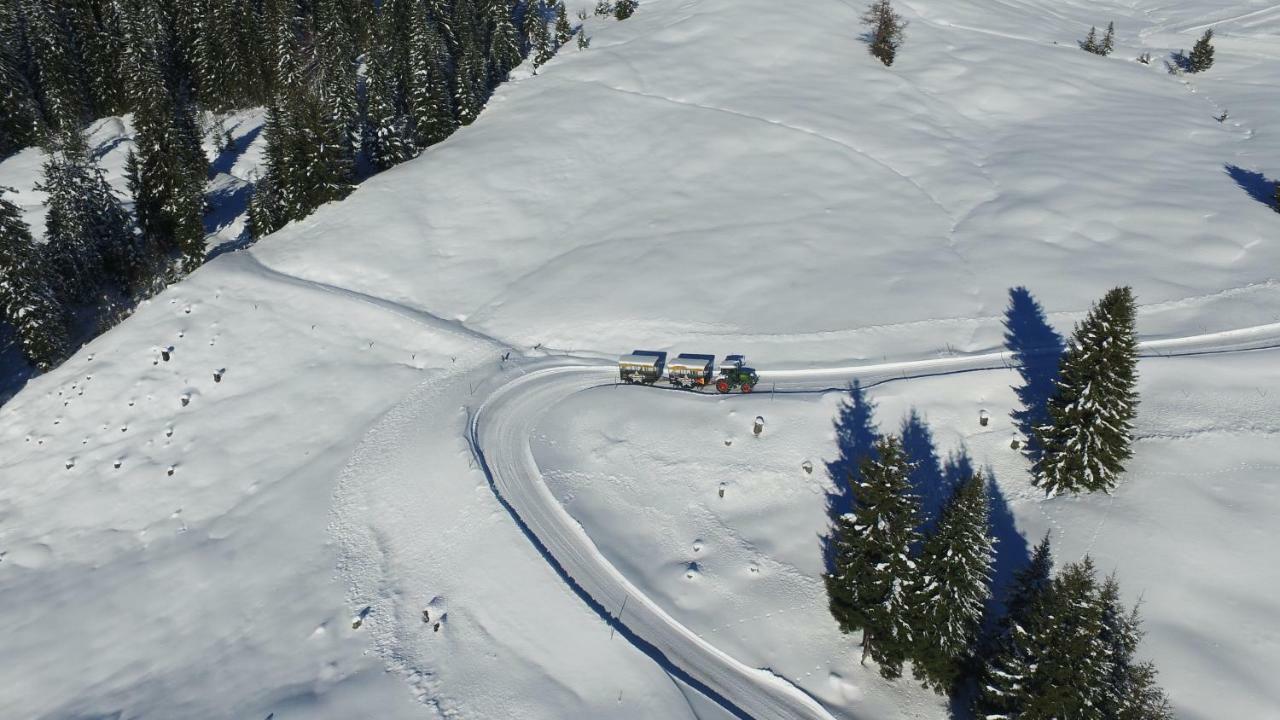 Ski In-Ski Out - Gaestehaeuser Saalbach-Hinterglemm - Wallegghof Christianhof Eksteriør billede